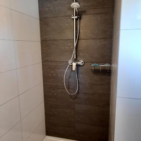 Auf Dem Lusitanohof Jaeger *