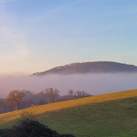 Auf Dem Lusitanohof Jaeger *