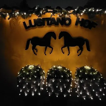 Auf Dem Lusitanohof Jaeger Dom wakacyjny *