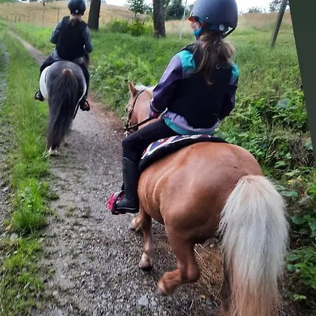 Auf Dem Lusitanohof Jaeger