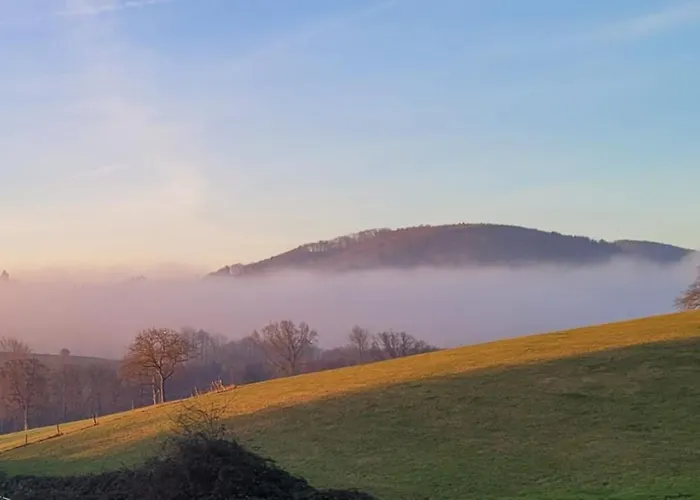 Auf Dem Lusitanohof Jaeger *