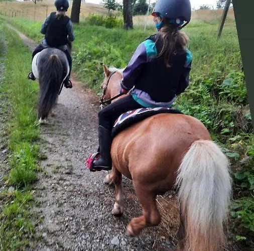 Auf Dem Lusitanohof Jaeger